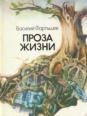 Василий Фартышев Проза жизни обложка книги