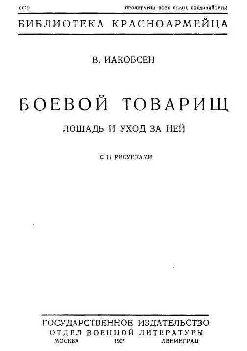 Строение лошади А передняя часть тела лошади Б средняя часть В задняя - фото 1