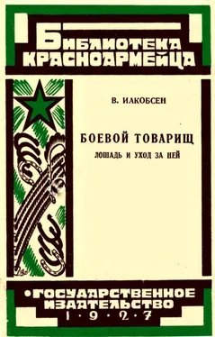 Валентин Иакобсен Боевой товарищ [Лошадь и уход за ней] обложка книги