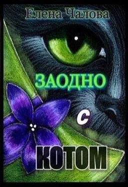 Елена Чалова Заодно с котом [СИ] обложка книги