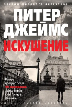 Питер Джеймс Искушение [litres] обложка книги