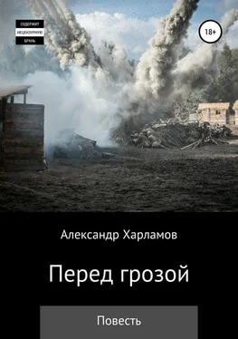 Александр Харламов Перед грозой обложка книги