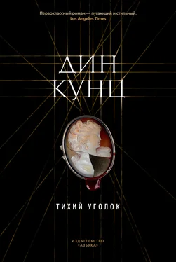 Дин Кунц Тихий уголок [litres] обложка книги