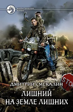 Дмитрий Смекалин Лишний на Земле лишних [litres] обложка книги