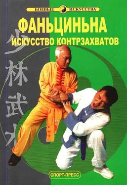 Лю Гошень Фаньциньна. Искусство контрзахватов обложка книги
