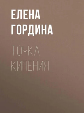 Елена Гордина Точка кипения обложка книги