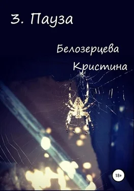 Кристина Белозерцева Пауза [СИ] обложка книги