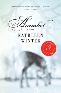 Kathleen Winter Annabel обложка книги