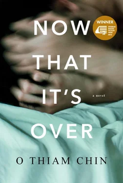 O Chin Now That It's Over обложка книги