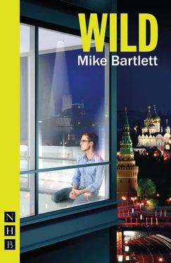 Mike Bartlett Wild обложка книги