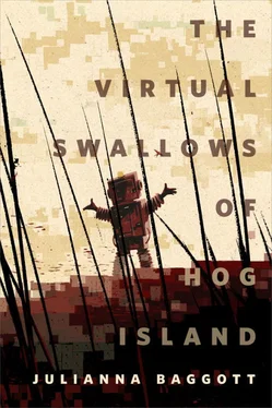 Джулиана Бэгготт The Virtual Swallows of Hog Island обложка книги