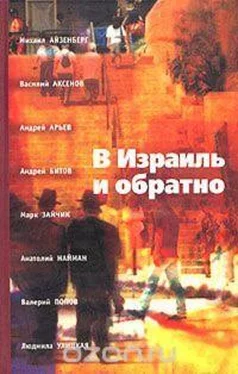 М Улицкая В Израиль и обратно. Путешествие во времени и пространстве. [калибрятина] обложка книги