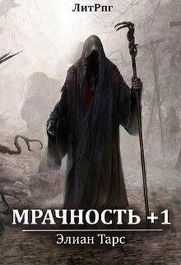 Элиан Тарс Мрачность +1 [СИ] обложка книги