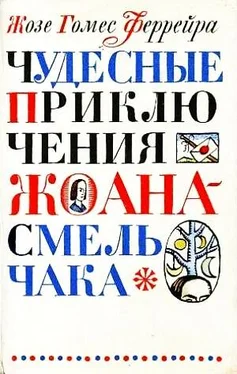 Жозе Феррейра Чудесные приключения Жоана-Смельчака обложка книги