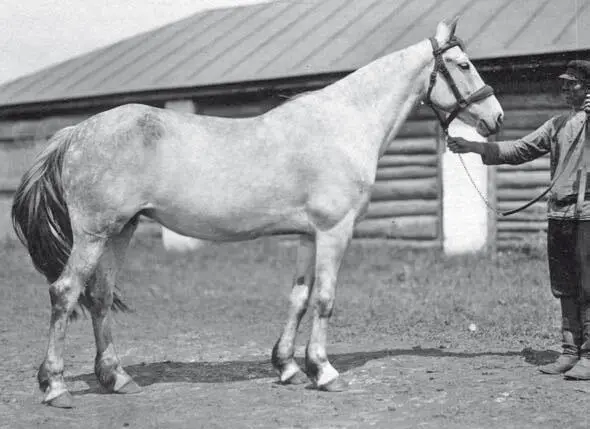 Удачная 2202 Питерщик Уборная р 1920 г зав А П Офросимова При - фото 224