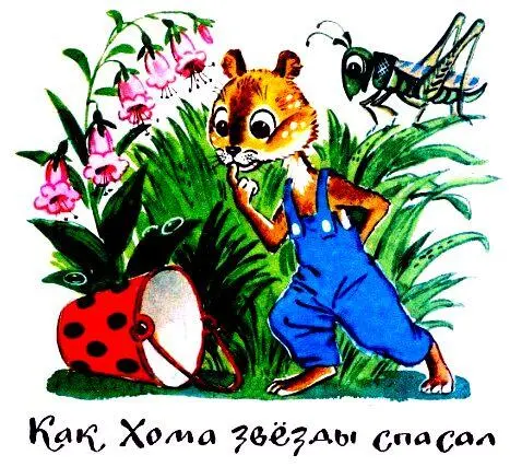 Как Хома звезды спасал Нашёл Суслик детское ведёрко Где нашёл не говорил - фото 29