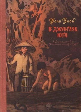 Доан Зиой В джунглях Юга обложка книги