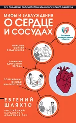 Евгений Шляхто - Мифы и заблуждения о сердце и сосудах