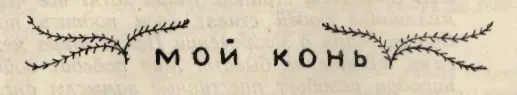 Мой конь Доволен я своим конём С ним крепко дружим мы На лбу пятно Как - фото 22
