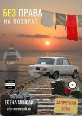 Елена Мейсак Без права на возврат обложка книги