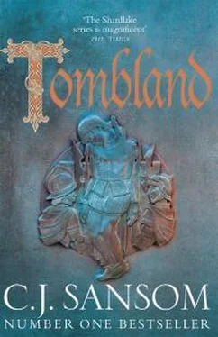 К Сэнсом Tombland обложка книги