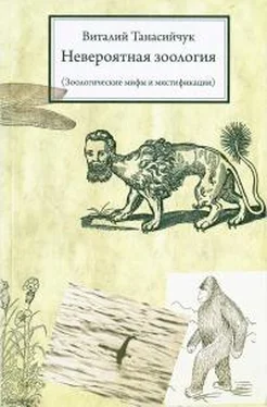Виталий Танасийчук Невероятная зоология (Зоологические мифы и мистификации) обложка книги