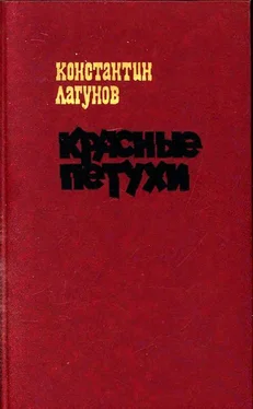 Константин Лагунов Красные петухи [Роман] обложка книги