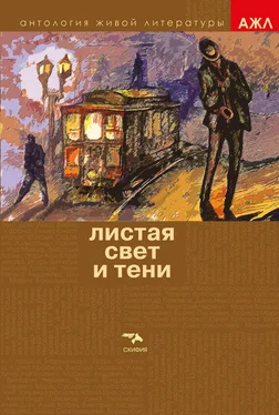 Array Антология Листая Свет и Тени обложка книги