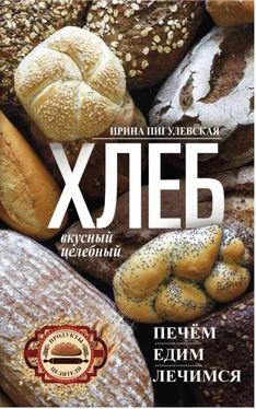 Ирина Пигулевская Хлеб вкусный, целебный. Печем, едим, лечимся обложка книги