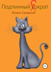 Михаил Самарский - Подлинный Сократ
