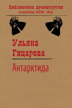 Ульяна Гицарева Антарктида обложка книги