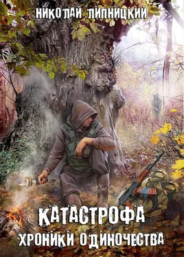 Николай Липницкий Хроники одиночества обложка книги