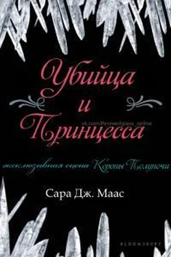 Сара Маас Убийца и принцесса [Любительский перевод]