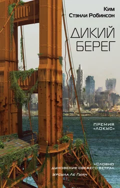 Ким Робинсон Дикий берег [litres] обложка книги