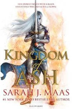 Сара Маас Kingdom of Ash