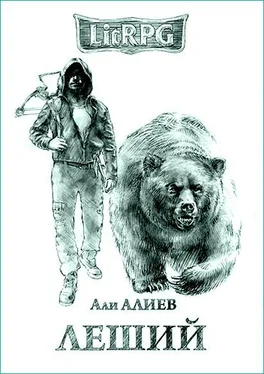 Али Алиев Леший [СИ] обложка книги