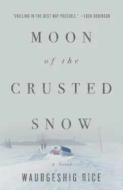 Waubgeshig Rice Moon of the Crusted Snow обложка книги