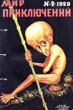 Л. Шмидт Мир приключений, 1929 № 02 обложка книги