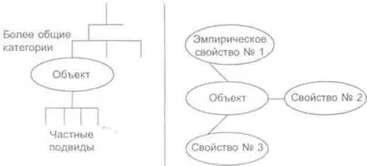 несколько различных предметов или явлении попадают в поле зрения правого - фото 15