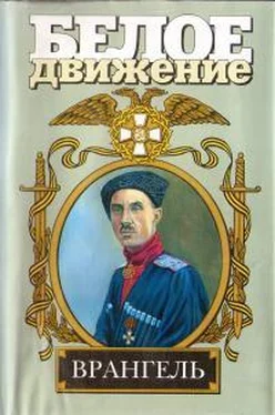 Сергей Карпенко Врангель. Последний главком обложка книги