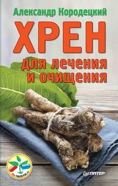 Александр Кородецкий Хрен для лечения и очищения обложка книги