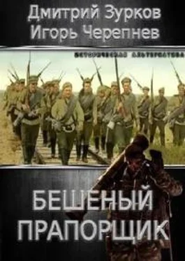 Дмитрий Зурков Бешеный прапорщик. Части 1-20 обложка книги