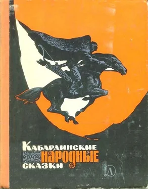 Народные сказки Кабардинские народные сказки [с иллюстрациями] обложка книги