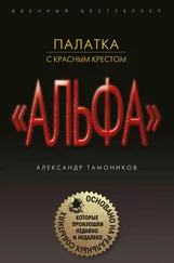Александр Тамоников - Палатка с красным крестом