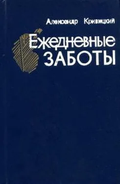 Александр Кривицкий Ежедневные заботы обложка книги