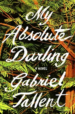 Gabriel Tallent My Absolute Darling обложка книги