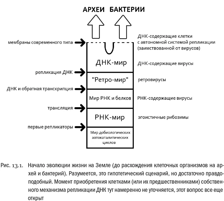 С другой стороны из современного опыта мы знаем что белки более мощные - фото 78