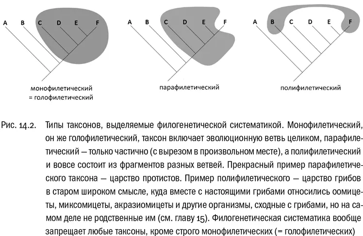Современники в целом не приняли систему Лидейла всерьез сочтя ее своего рода - фото 80