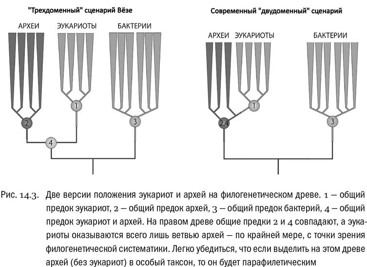 Тем не менее именно эта вторая возможность сейчас и подтверждается По мере - фото 81