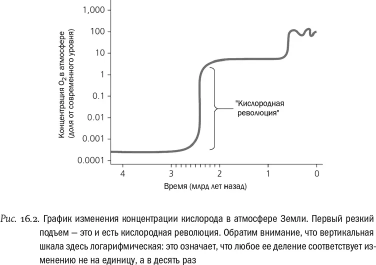 Для подавляющего большинства древних прокариот такой уровень кислорода был - фото 105
